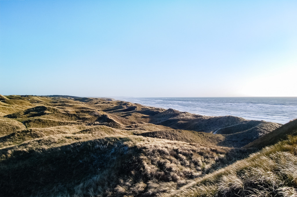 Dünenlandschaft Tornby