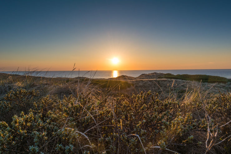 Sonnenuntergang über den Dünen in Stenbjerg - Region Thy