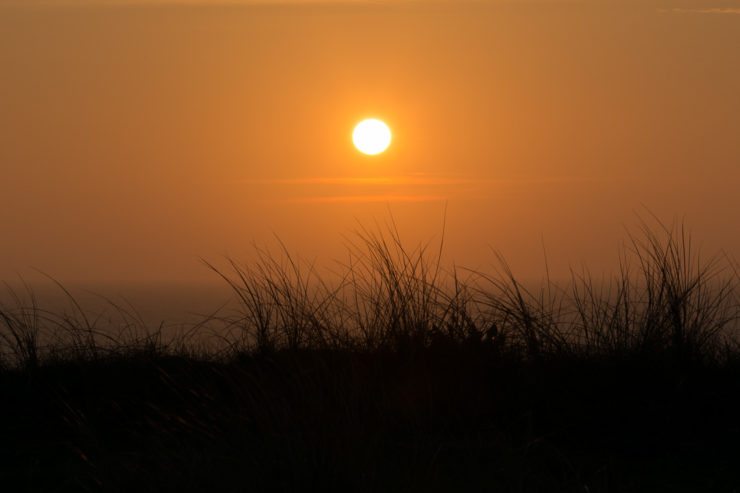 Sonnenuntergang an der Steilküste von Nr. Lyngby - September 2014