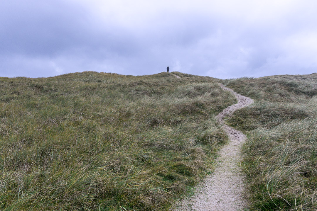 Vejlby Klit der Weg zum Strand