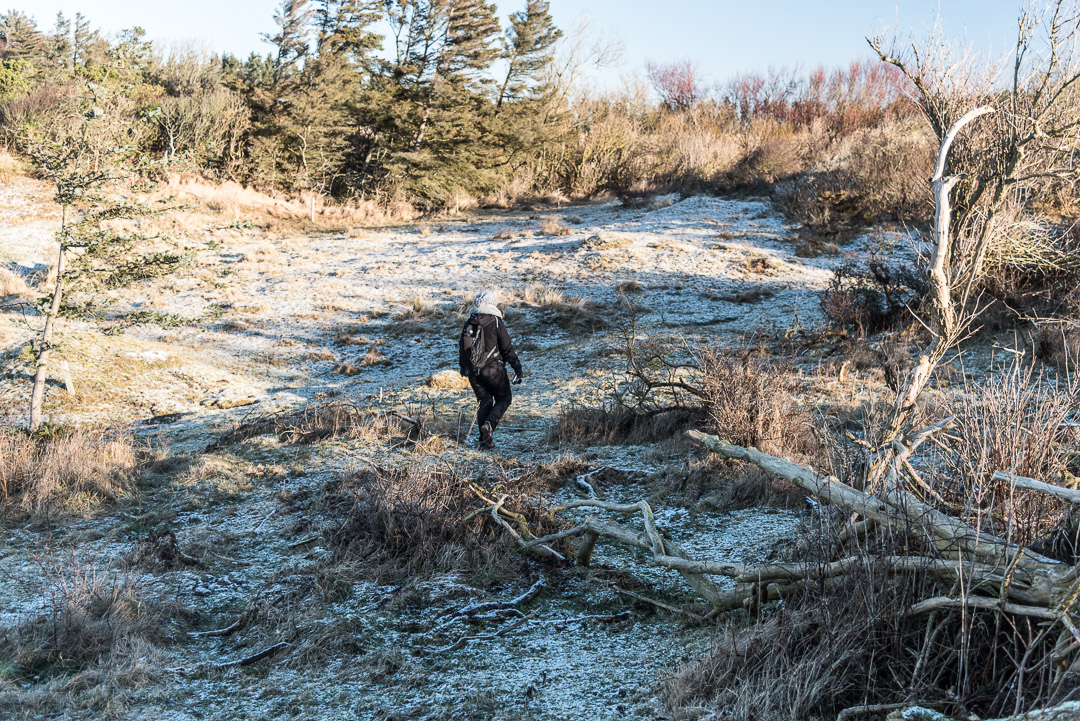 Wanderung durch Skallerup-Klit