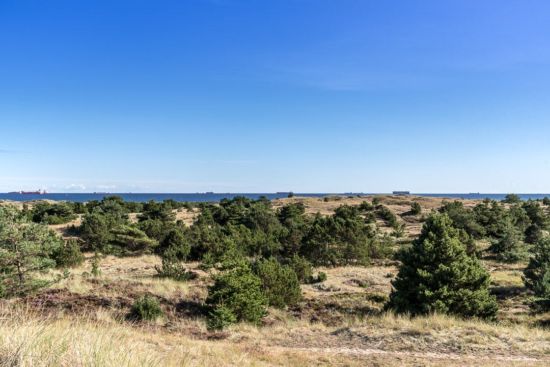 Aussicht von der Düne auf die Ostsee in Skagen