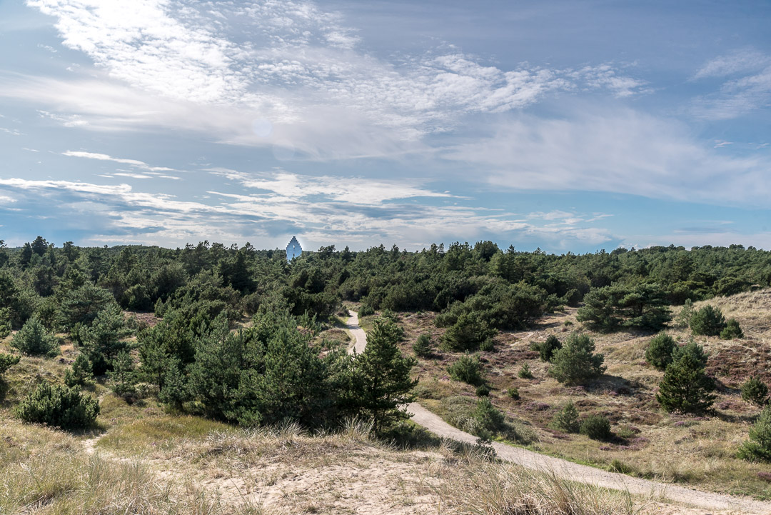 Blick aus Norden in Richtung Versandete Kirche