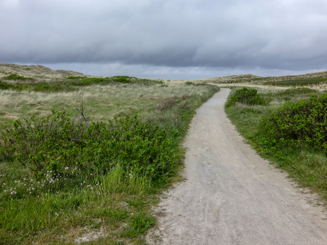 Radwege heißen "cykelrute"