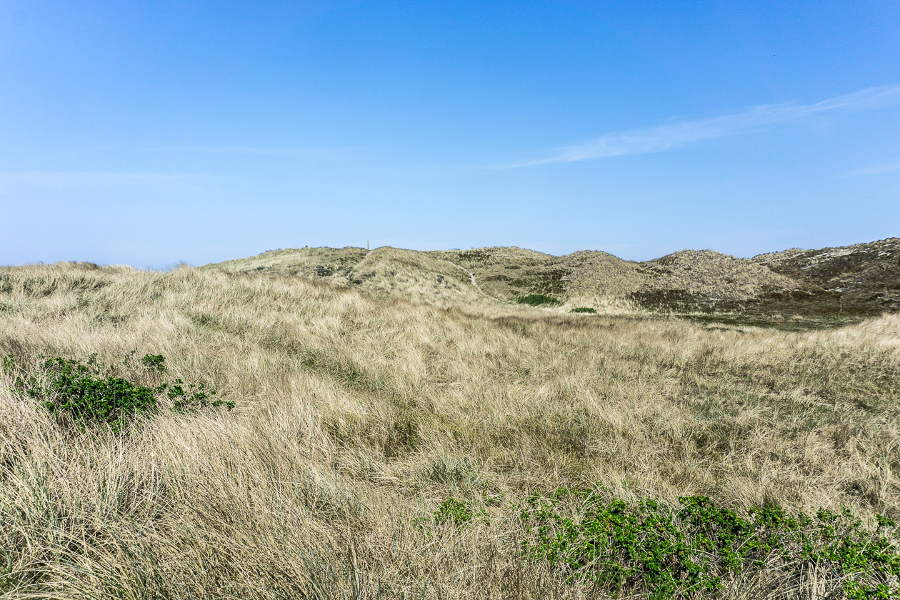 Zauberhafte Dünenlandschaft bei Vangsa