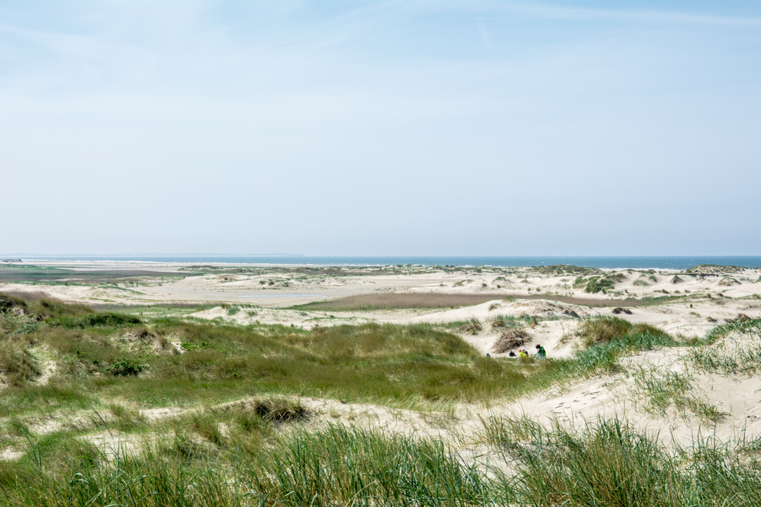 Rømø