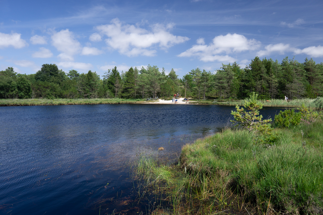 Kleiner See in der Kirkeby Plantage