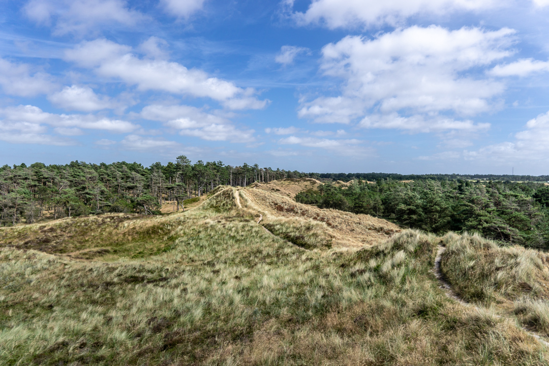 Aussicht vom Spidsbjerg