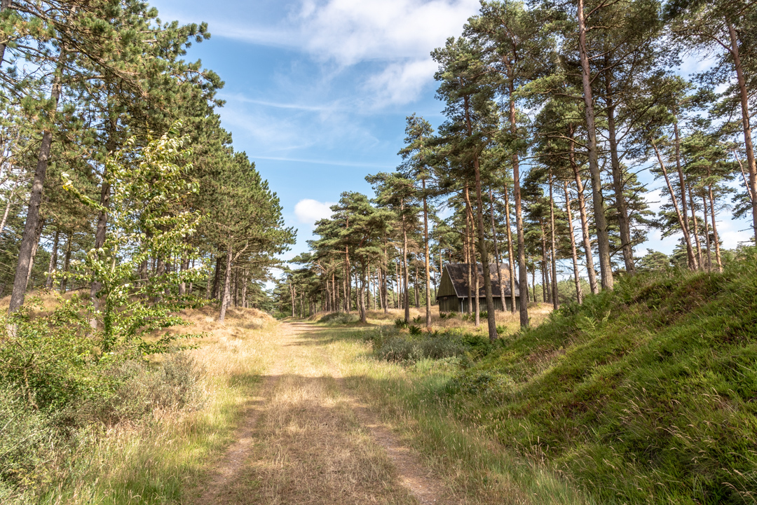 Waldweg