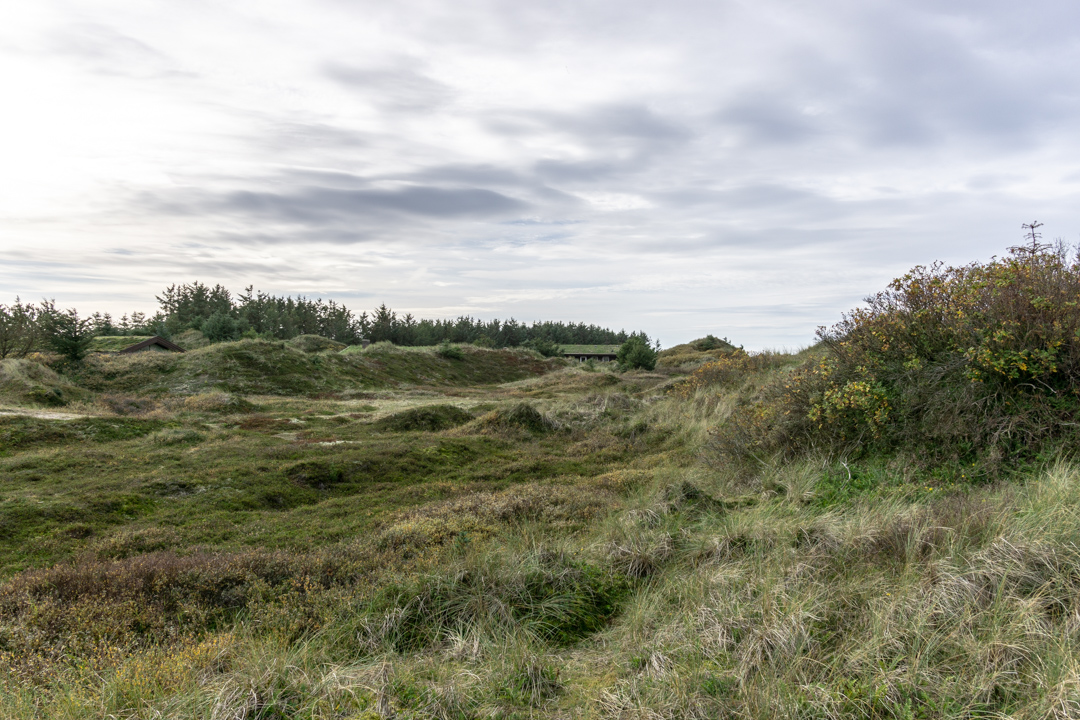 Dünenlandschaft hinterm Haus