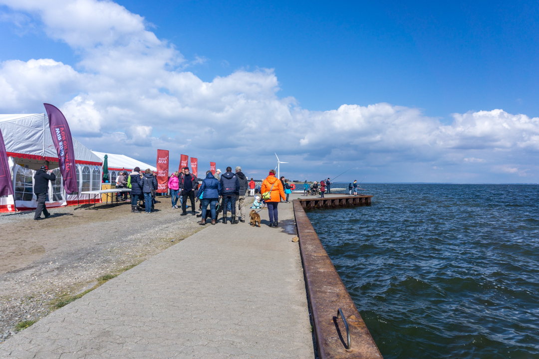 Heringsfestival 2017