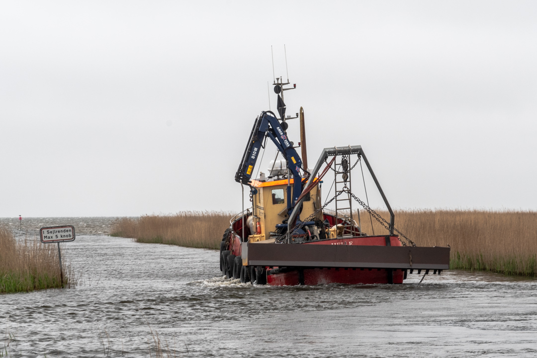 Stauning Havn Fischerboot