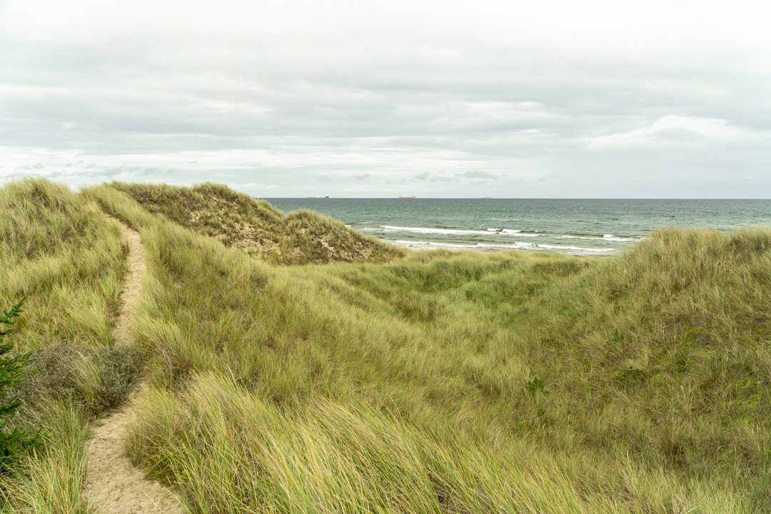 Dünenlandschaft Hulsig Skagen