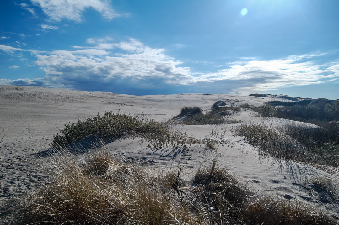 Råbjerg Mile - Die Wanderdüne