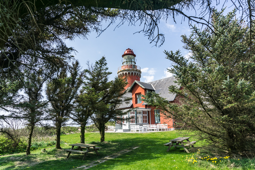 Garten vom Bovbjerg Fyr